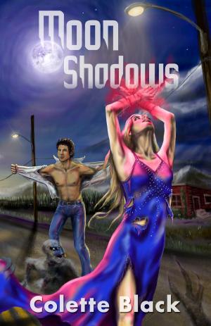 Cover of Moon Shadows