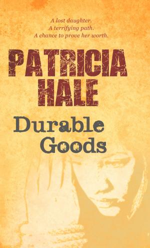 Book cover of Durable Goods