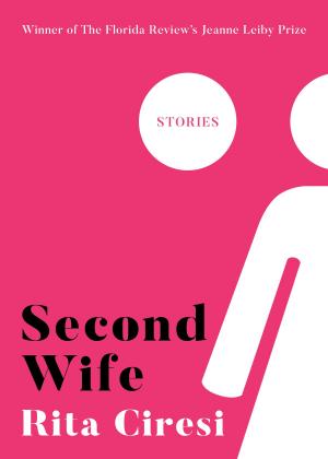 Book cover of Second Wife