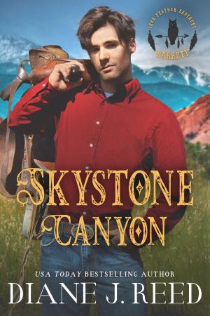 Book cover of Skystone Canyon