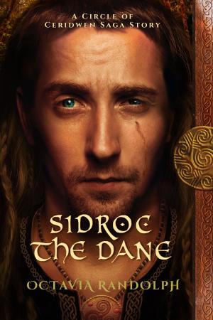 Cover of the book Sidroc the Dane: A Circle of Ceridwen Saga Story by Sabry Amin