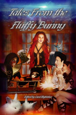Cover of the book Tales From the Fluffy Bunny by Rebecca McFarland Kyle