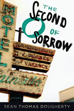 Cover of the book The Second O of Sorrow by Naomi Shihab Nye