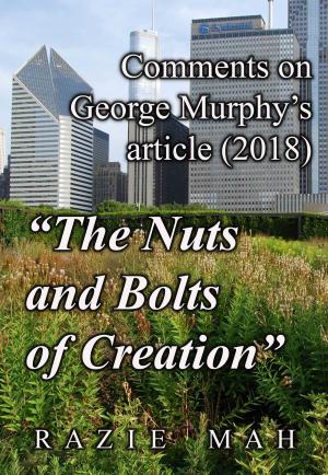 Cover of the book Comments on George Murphy's Article (2018) "The Nuts and Bolts of Creation" by Melissa A. Hanson