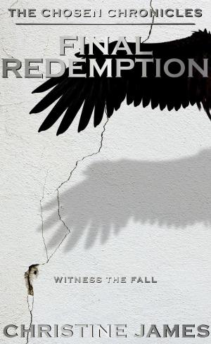 Cover of Final Redemption