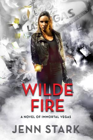 Cover of the book Wilde Fire by Jennifer Chance