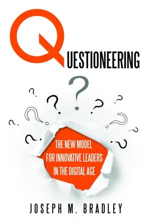 bigCover of the book Questioneering by 