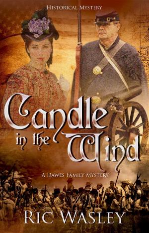 Cover of the book Candle in the Wind by Elizabeth Alsobrooks