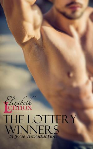 bigCover of the book The Lottery Winners Introduction by 
