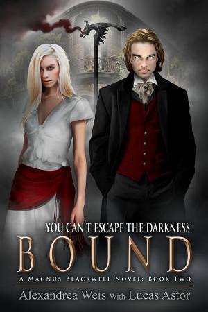 Cover of the book Bound by Julieanne Lynch