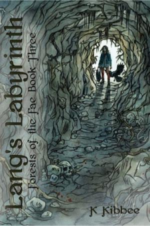 Cover of the book Lang's Labyrinth by Linni Ingemundsen