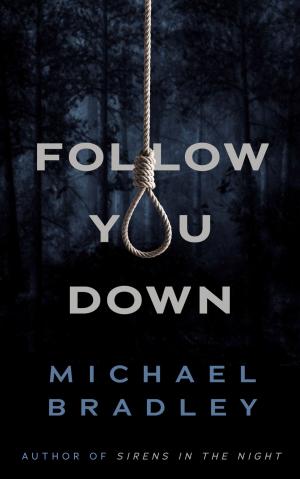 Cover of the book Follow You Down by Camille DeAngelis