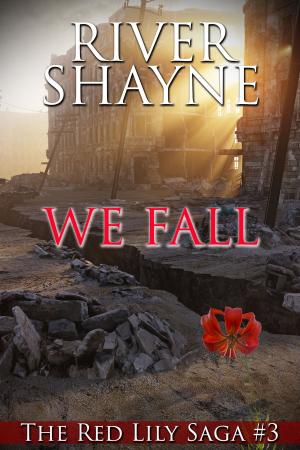 Book cover of We Fall