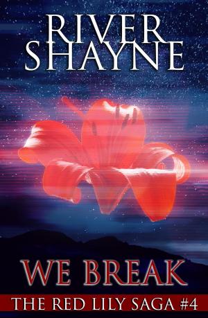 Cover of the book We Break by River Shayne
