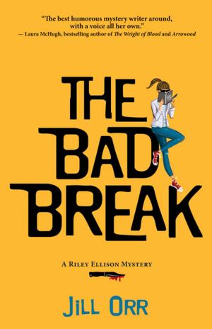 Cover of the book The Bad Break by Michal Lemberger