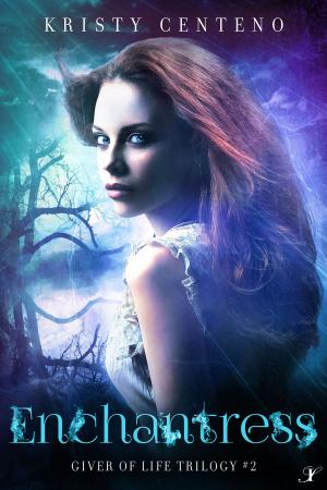 Cover of the book Enchantress by Brooke Moss