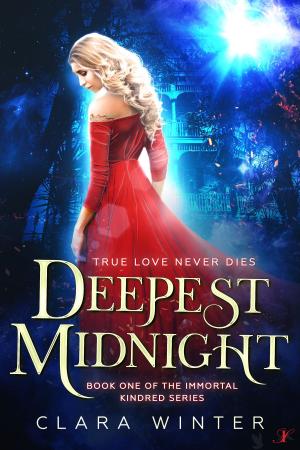 Cover of the book Deepest Midnight by Kacey Vanderkarr