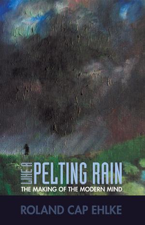 Cover of Like a Pelting Rain