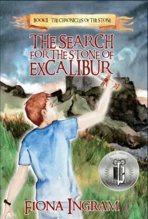 Cover of the book The Search for the Stone of Excalibur by Chris Nadherny