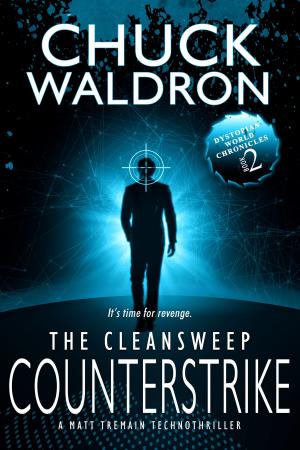 bigCover of the book The CleanSweep Counterstrike by 