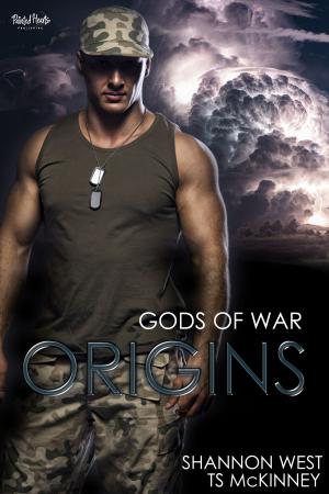 Cover of the book Origins by Rider Jacobs
