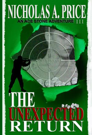 Cover of the book The Unexpected Return: An Ace Stone Adventure III by Meghan O'Flynn