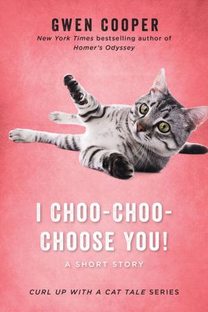 Cover of the book I Choo-Choo-Choose You! by Erick Flaig