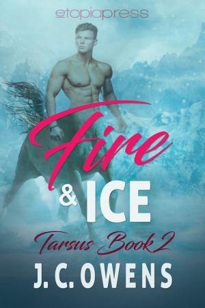 Cover of the book Fire and Ice by Patty Campbell