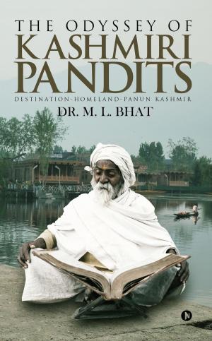 Cover of the book The Odyssey Of Kashmiri Pandits by Anchale A