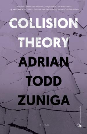 Cover of the book Collision Theory by Gretchen Bonaduce