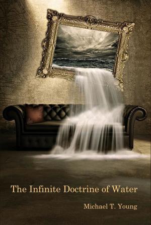 Cover of the book The Infinite Doctrine of Water by Michelle Menting