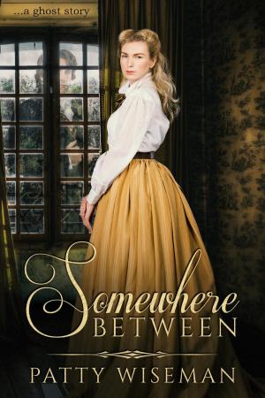 bigCover of the book Somewhere Between by 