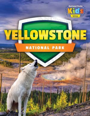 Book cover of Yellowstone National Park