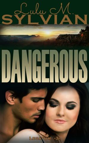 Cover of the book Dangerous by Steve Bradshaw