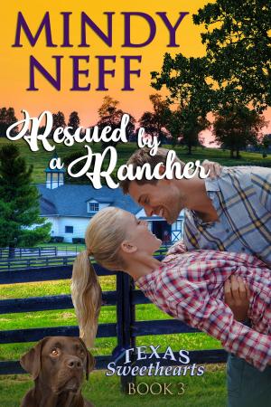 Book cover of Rescued by a Rancher