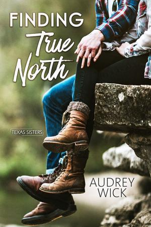 Cover of the book Finding True North by Christine Zolendz