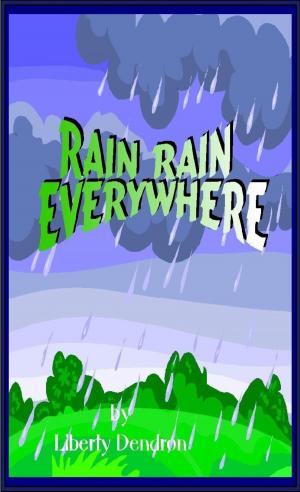 Cover of the book Rain Rain Everywhere by Liberty Dendron
