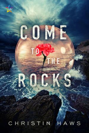 Cover of the book Come to the Rocks by Christopher D.J.
