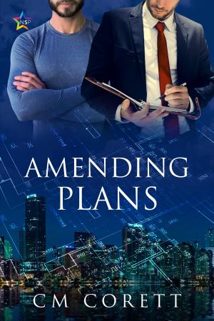 Cover of the book Amending Plans by Mickie B. Ashling, A. Fae, Sydney Blackburn, K.S. Trenten, A.D. Song, Riza Curtis, Dianne Hartsock, J.P. Jackson, Donna Jay