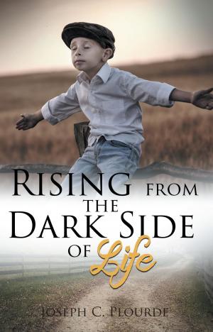bigCover of the book Rising from the Dark Side of Life by 