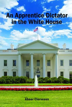 Book cover of An Apprentice Dictator in the White House