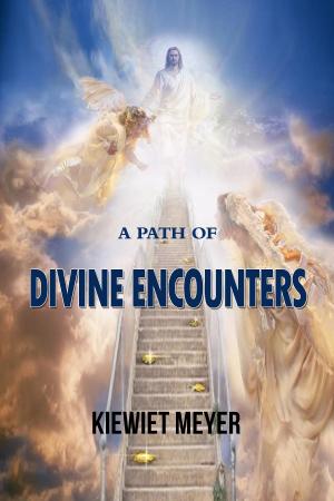 Cover of the book A Path of Divine Encounters by Michael W Jackson