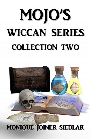 Cover of the book Wiccan Series Collection Two by Patricia chaibriant