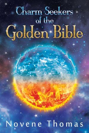 Cover of Charm Seekers of the Golden Bible