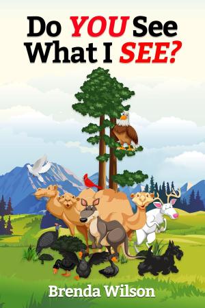 Cover of the book Do You See What I See by Megan Ahasic