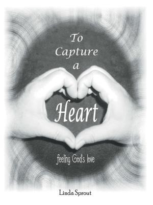 Book cover of To Capture a Heart
