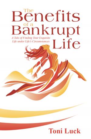 Cover of the book The Benefits of a Bankrupt Life by Martha M. Morris