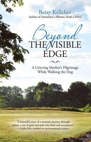 Cover of the book Beyond the Visible Edge by Dan Ver Woert
