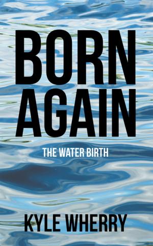 Cover of the book Born Again by Katie Ann Barnett