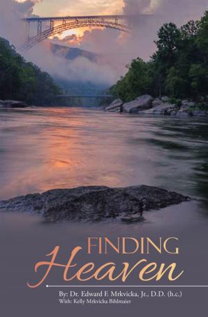 Cover of the book Finding Heaven by Jay A. Schulberg